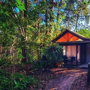 Rainforest Курортный комплекс
